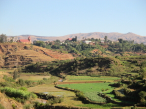 Rizières autour de Betafo