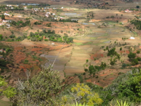 Vue depuis une colline sacrée d'Antanarivo